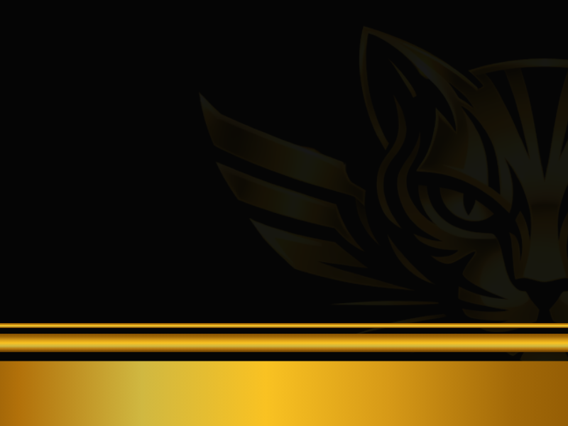 CAT CARS page hero